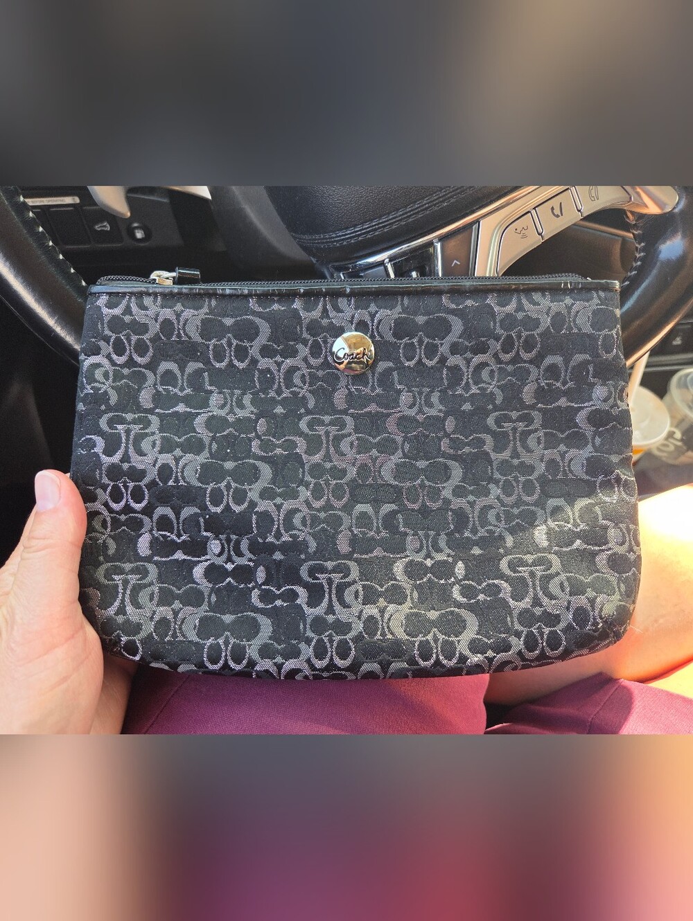 Coach Optic C Cosmetic Pouch